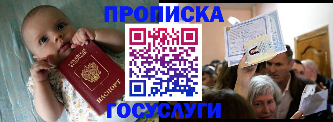 временная регистрация гарантия в Камчатском крае